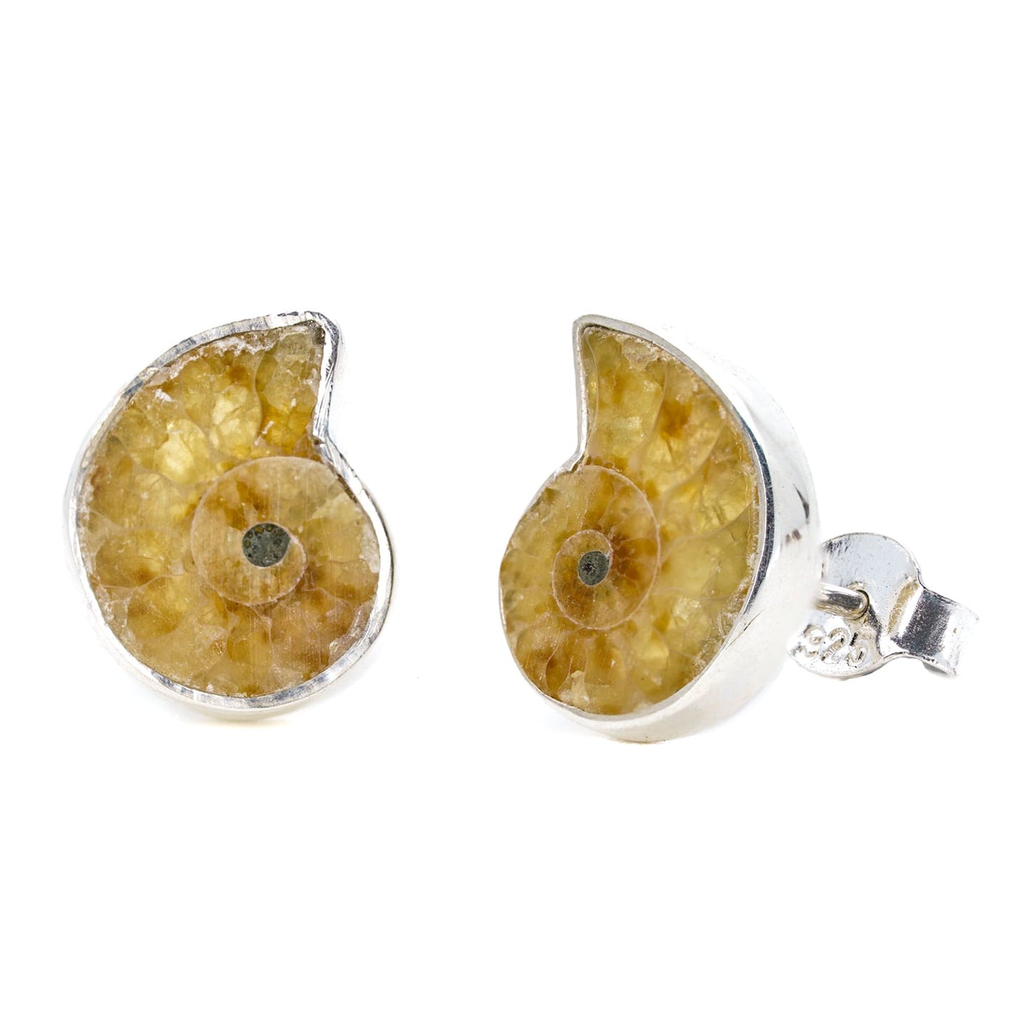Ammonite Studs