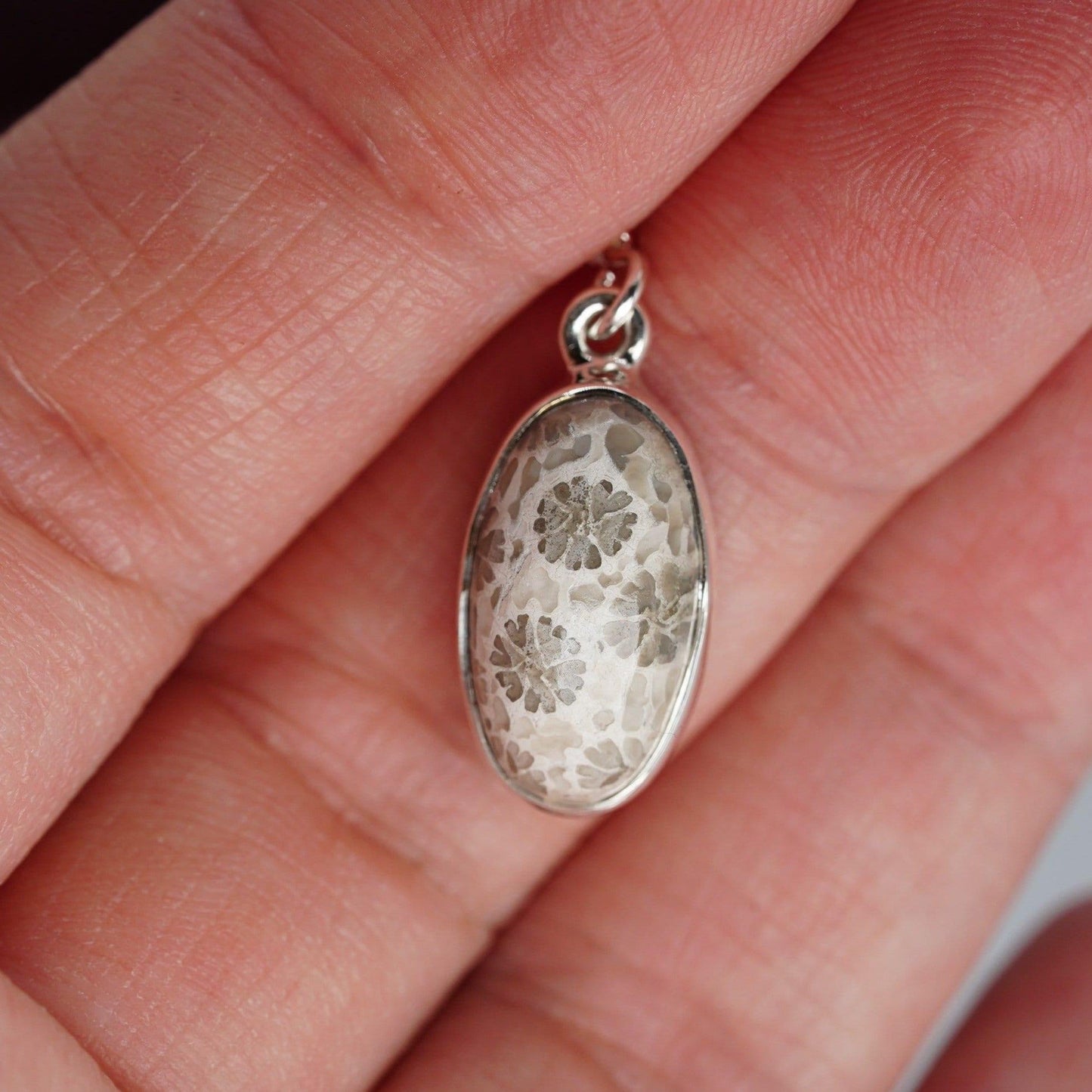 Fossil Coral Earrings