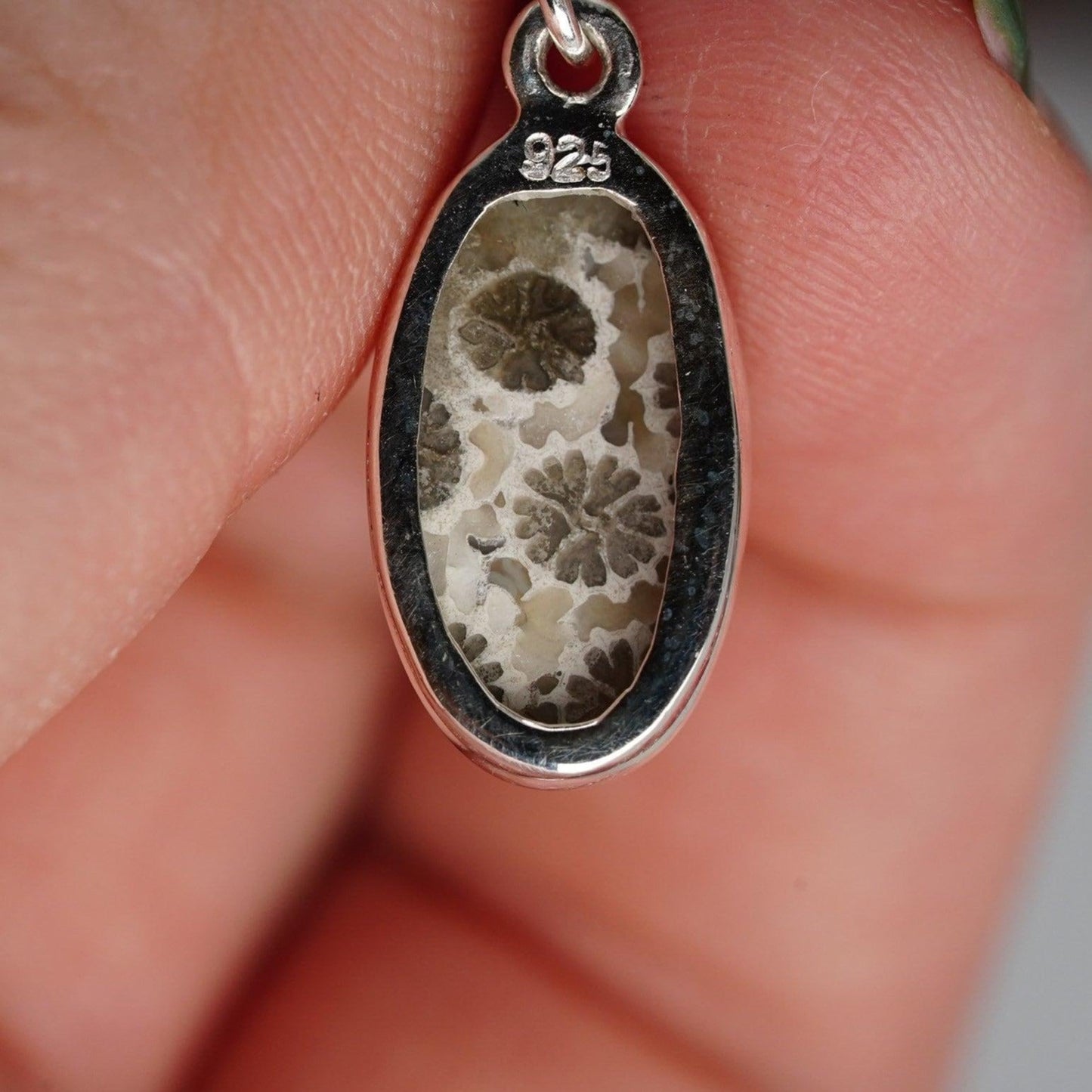 Fossil Coral Earrings