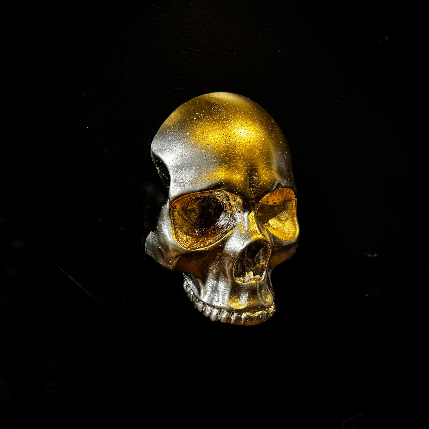 Wall Mounted Skull