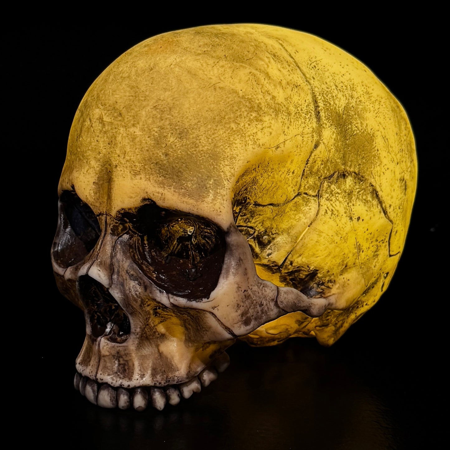 Skull Lamp