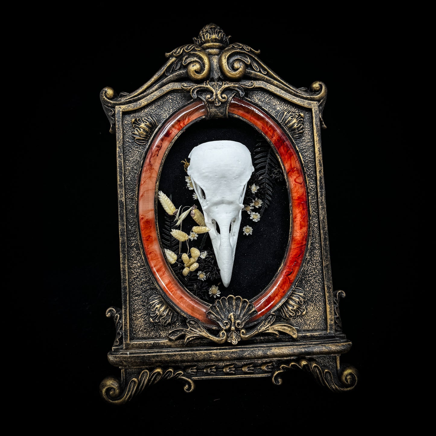 Faux Raven Skull Frame