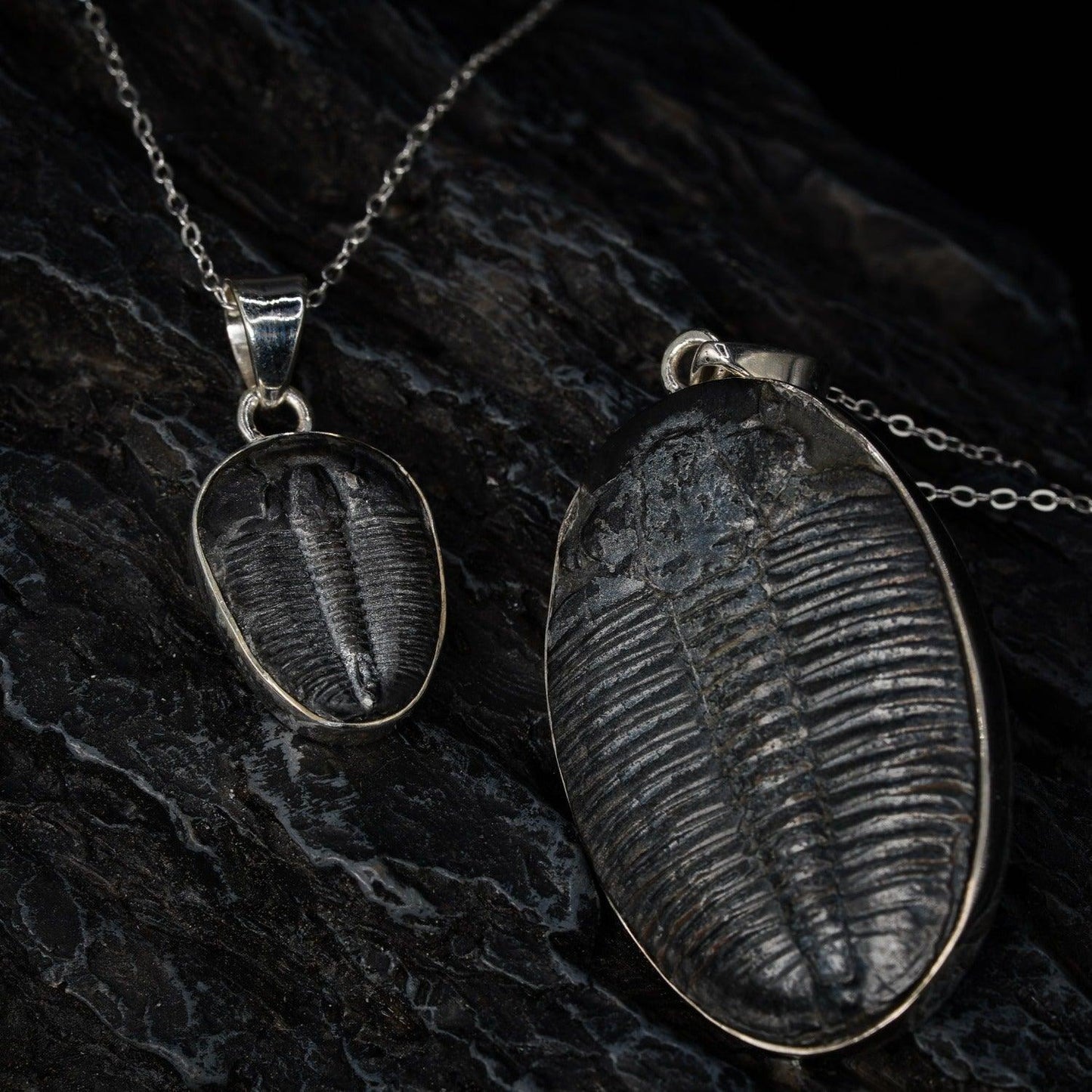 Trilobite Pendant