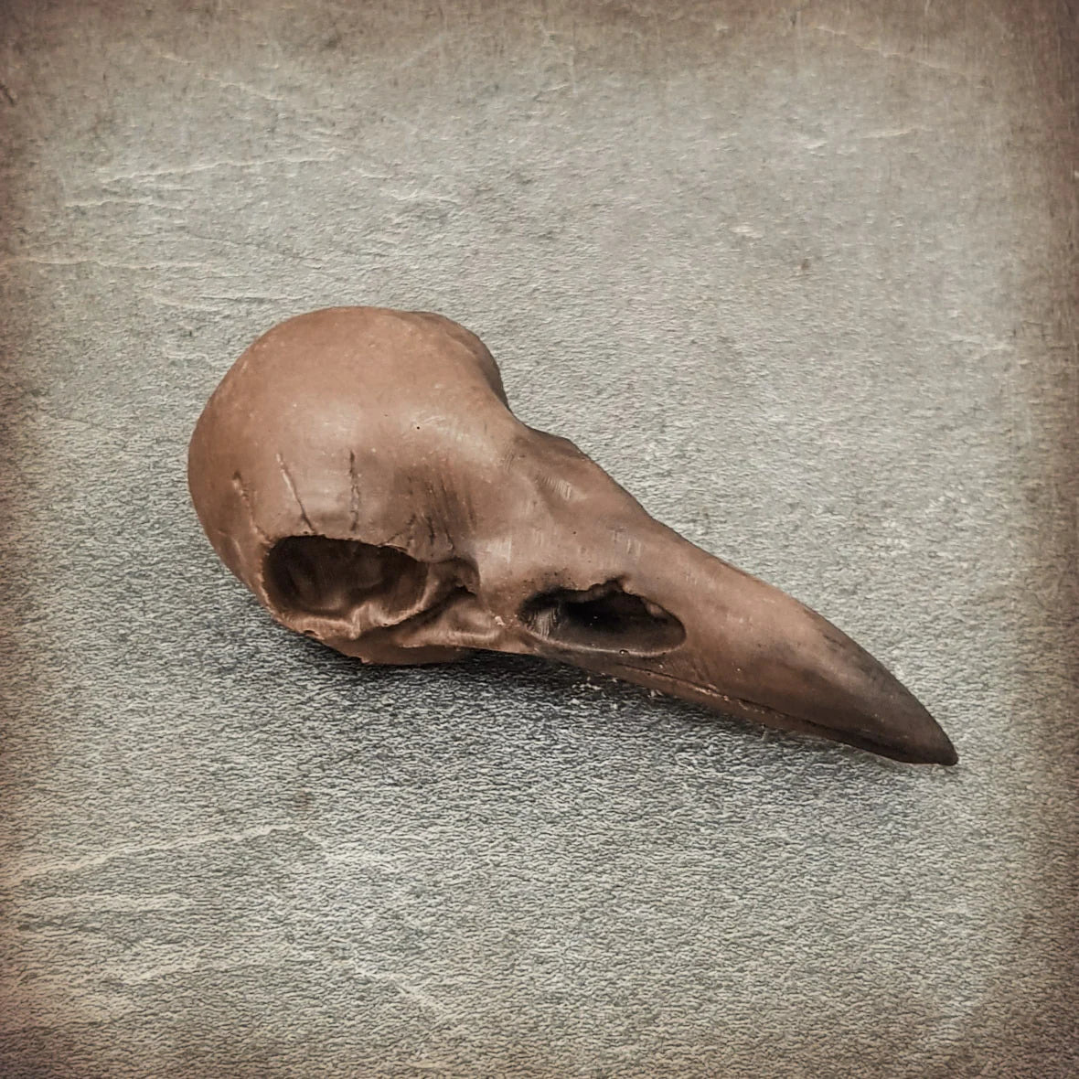 Chocolate Crow Skull