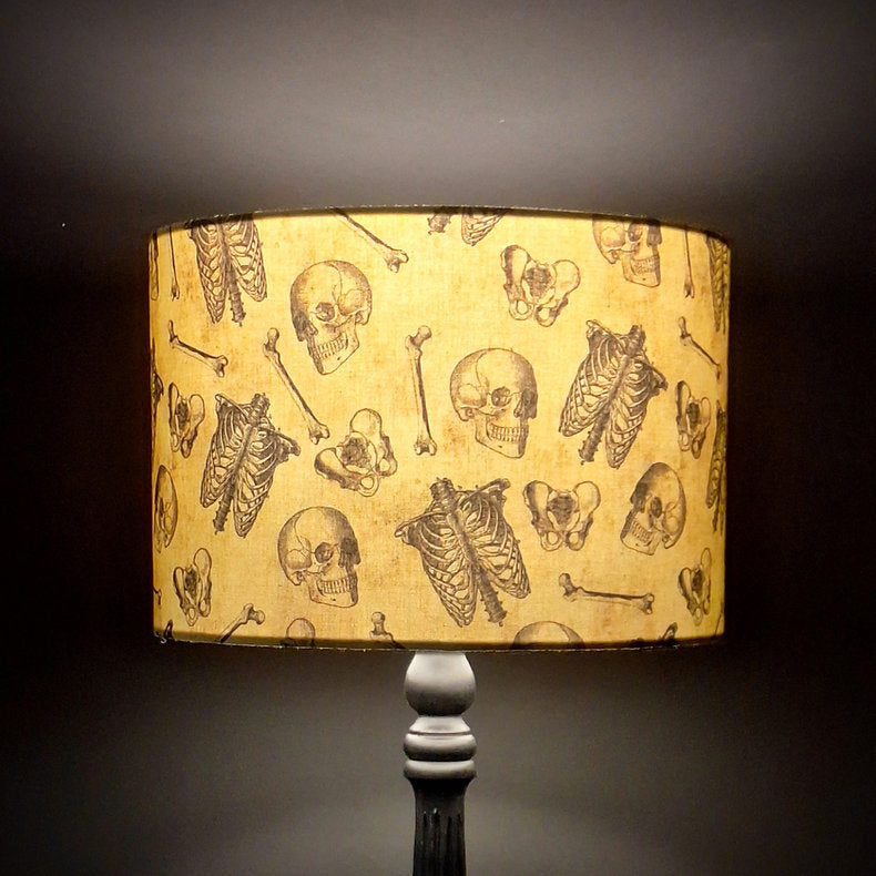 Anatomy Lamp
