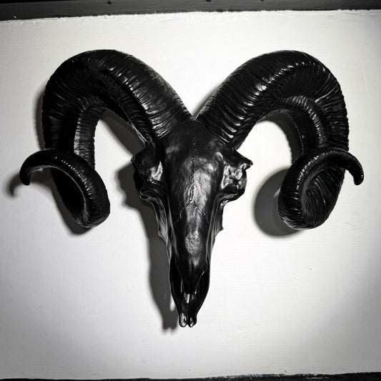 Matt Black Ram Skull Wall Head