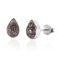 Thumbnail for Dino Bone Studs