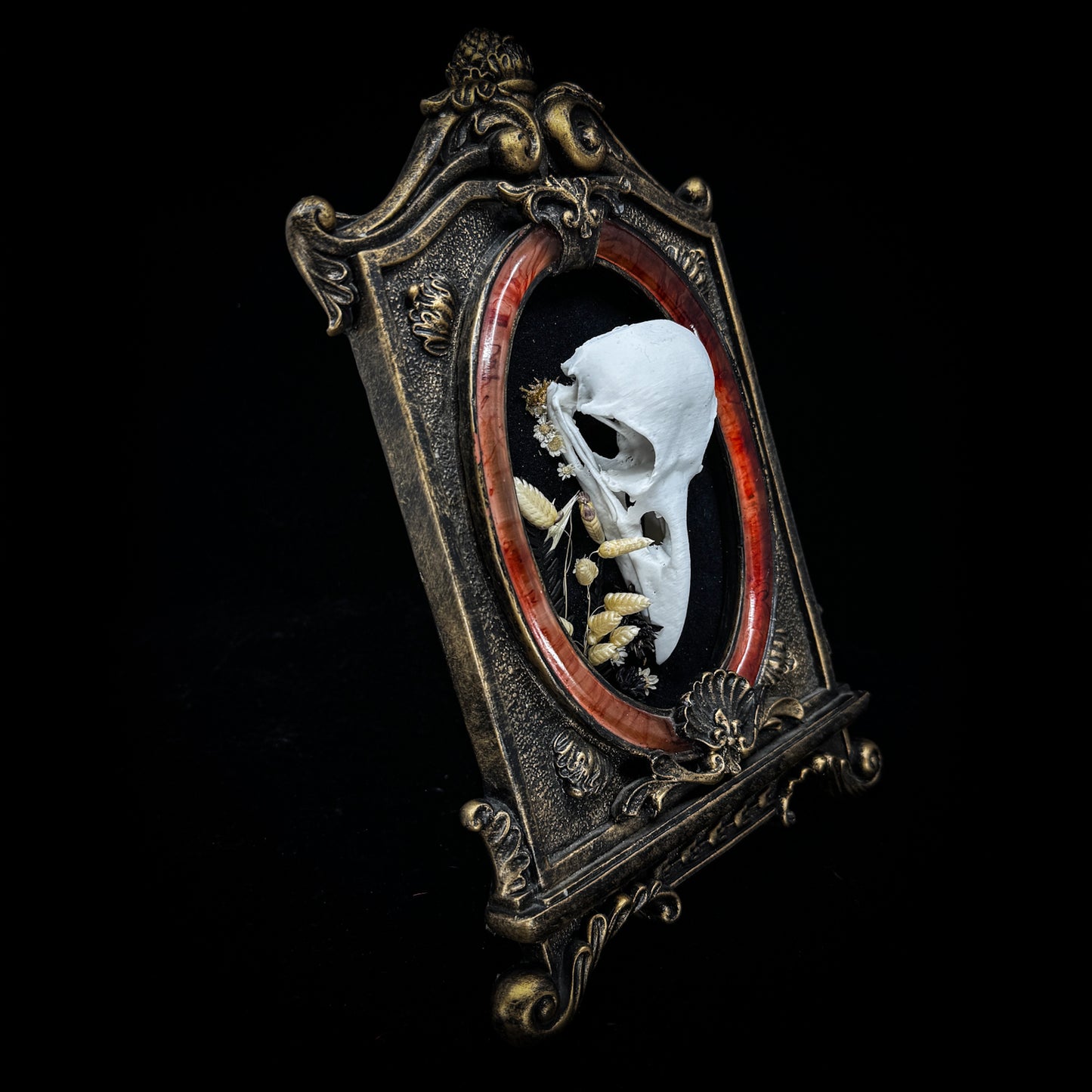 Faux Raven Skull Frame