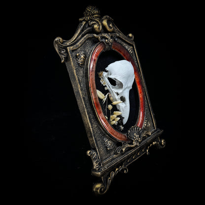 Faux Raven Skull Frame