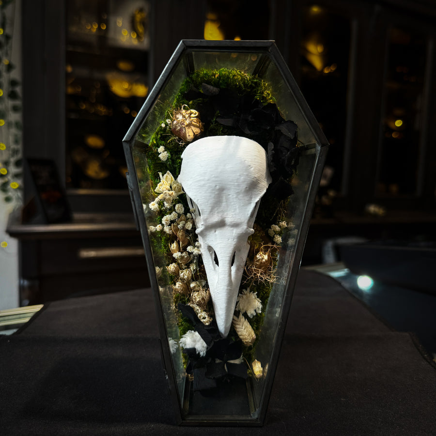 Faux Raven Skull Moss Frame