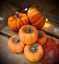 Thumbnail for Large Spiced Pumpkin Wax Melt