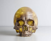 Thumbnail for Skull Lamp