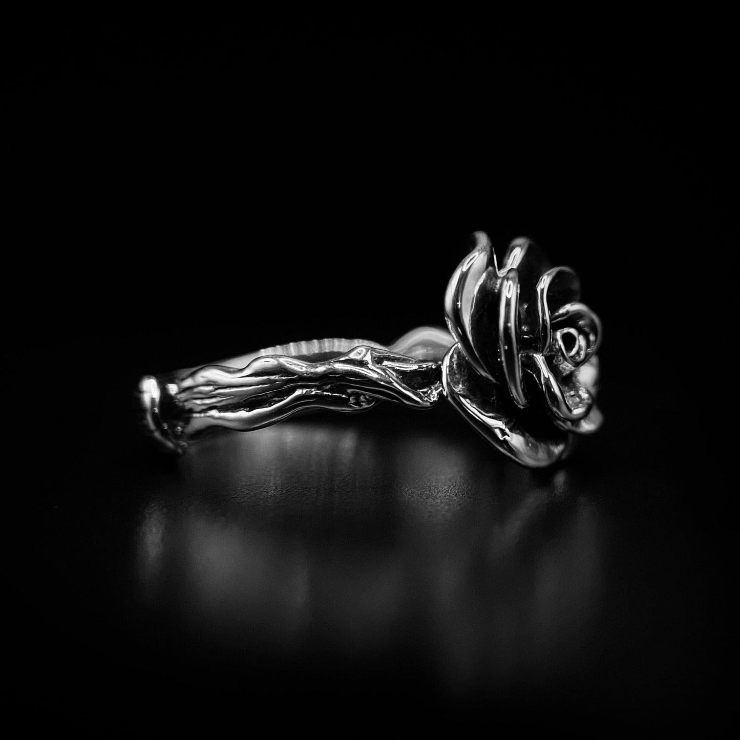 Enchanted Rose