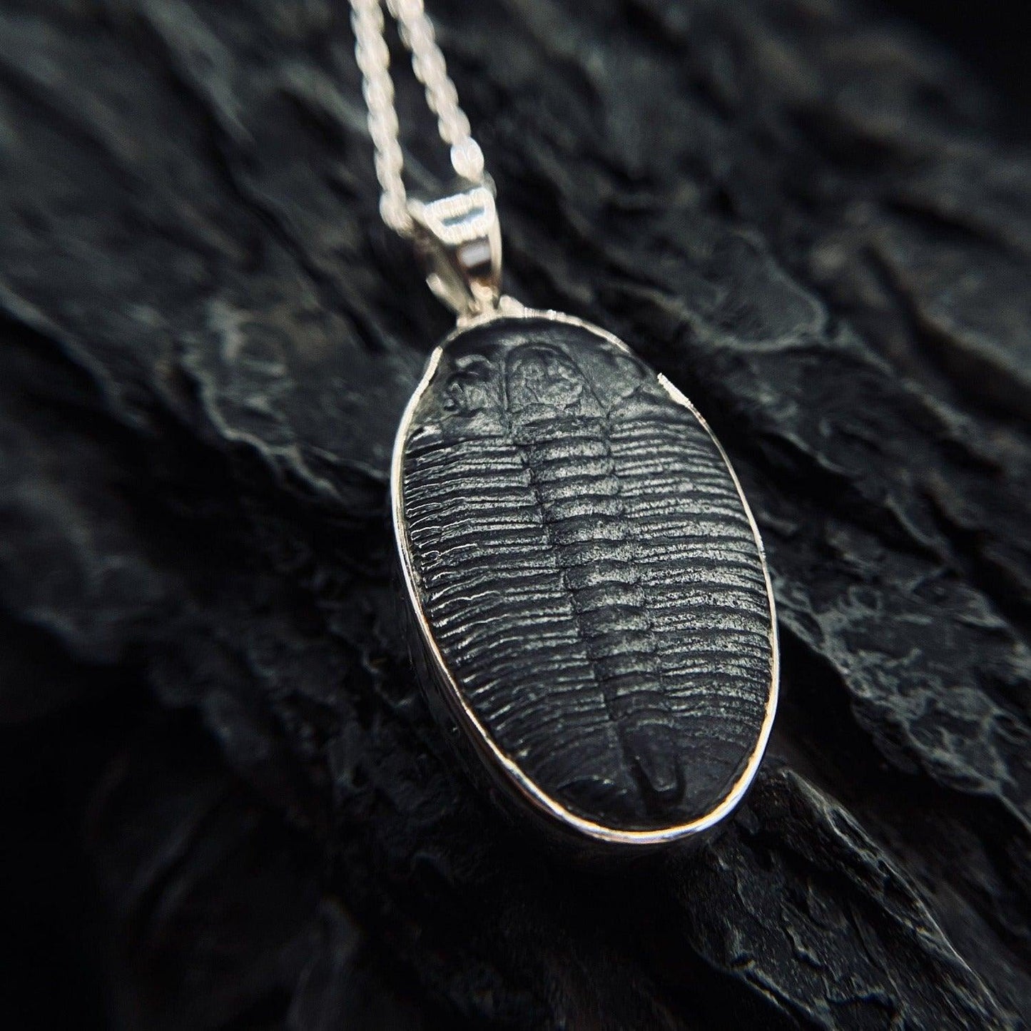 Trilobite Pendant