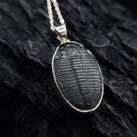 Thumbnail for Trilobite Pendant