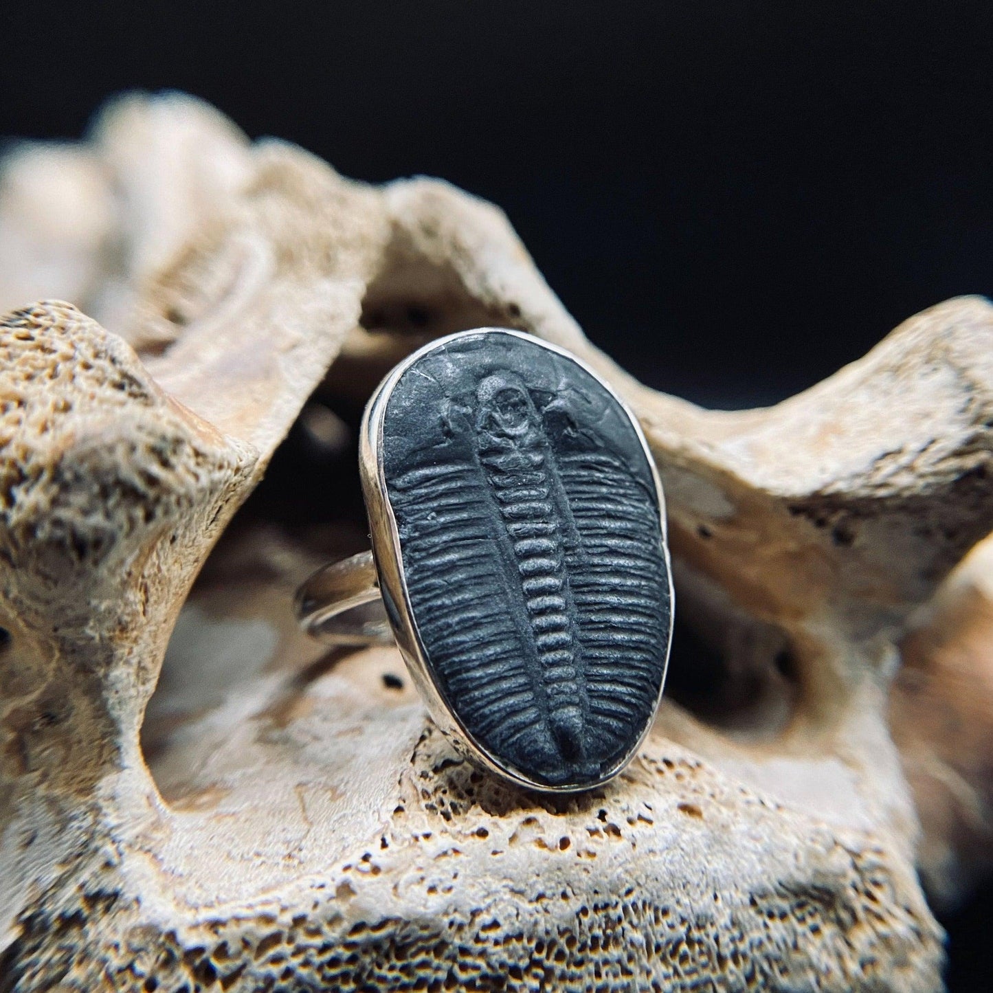 Trilobite Ring