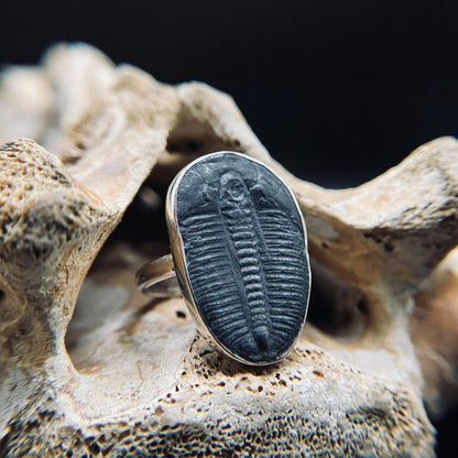 Trilobite Ring