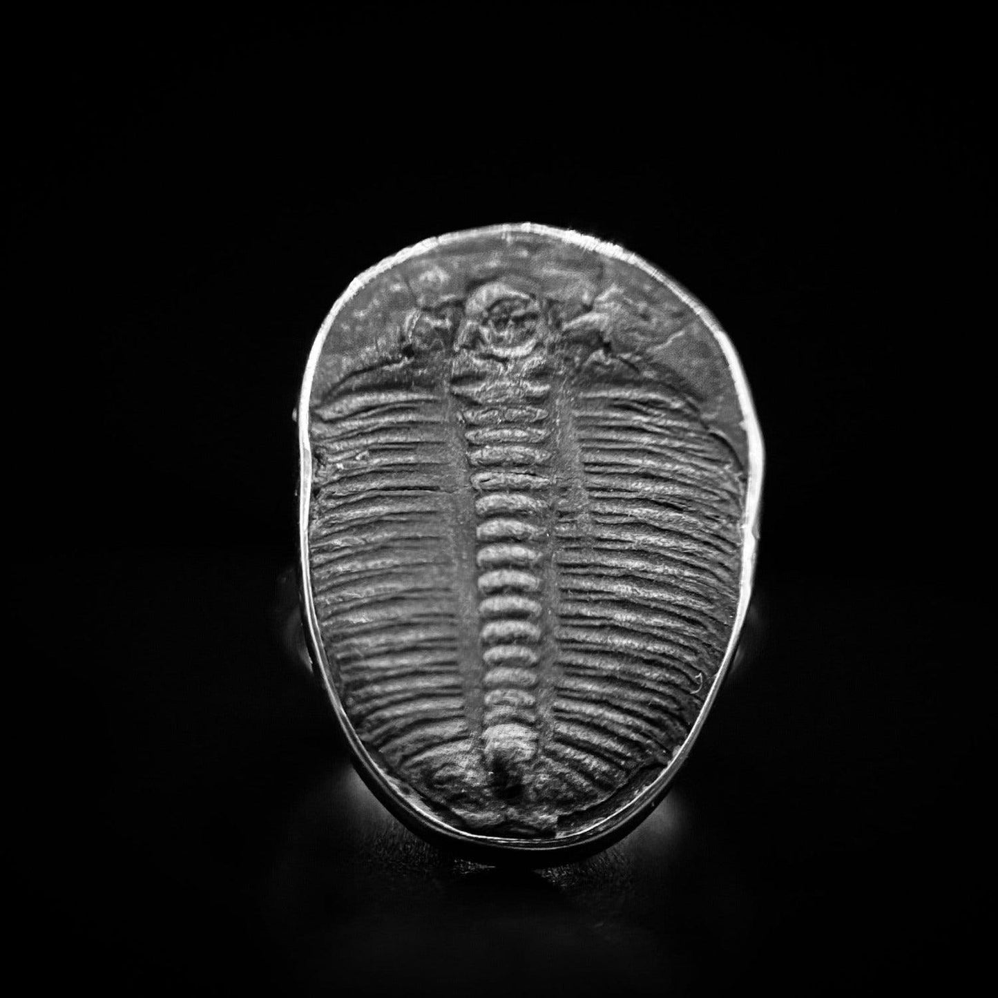 Trilobite Ring