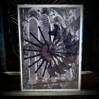Thumbnail for Bartholomew - Art Print
