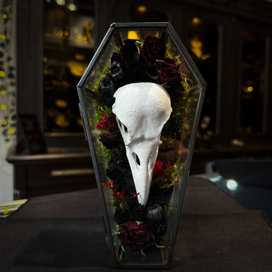 Faux Raven Skull Moss Frame