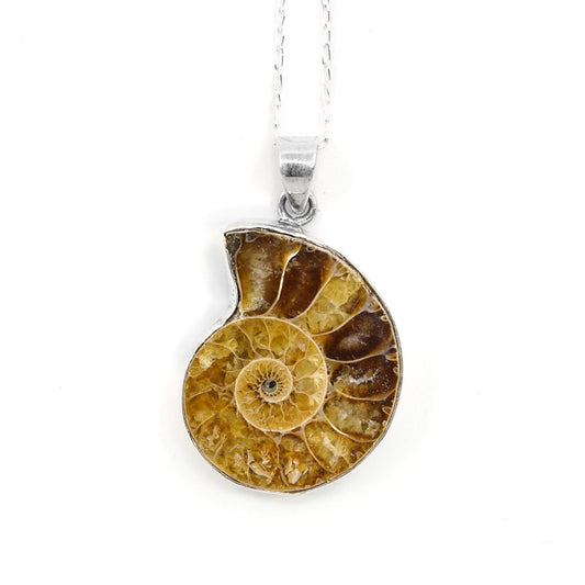 Ammonite Pendant