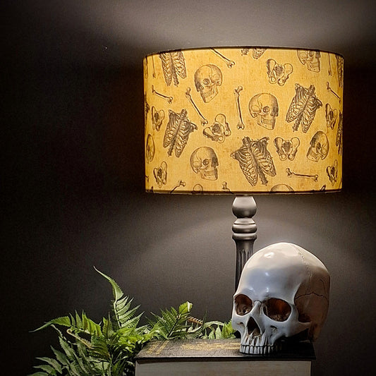 Anatomy Lamp