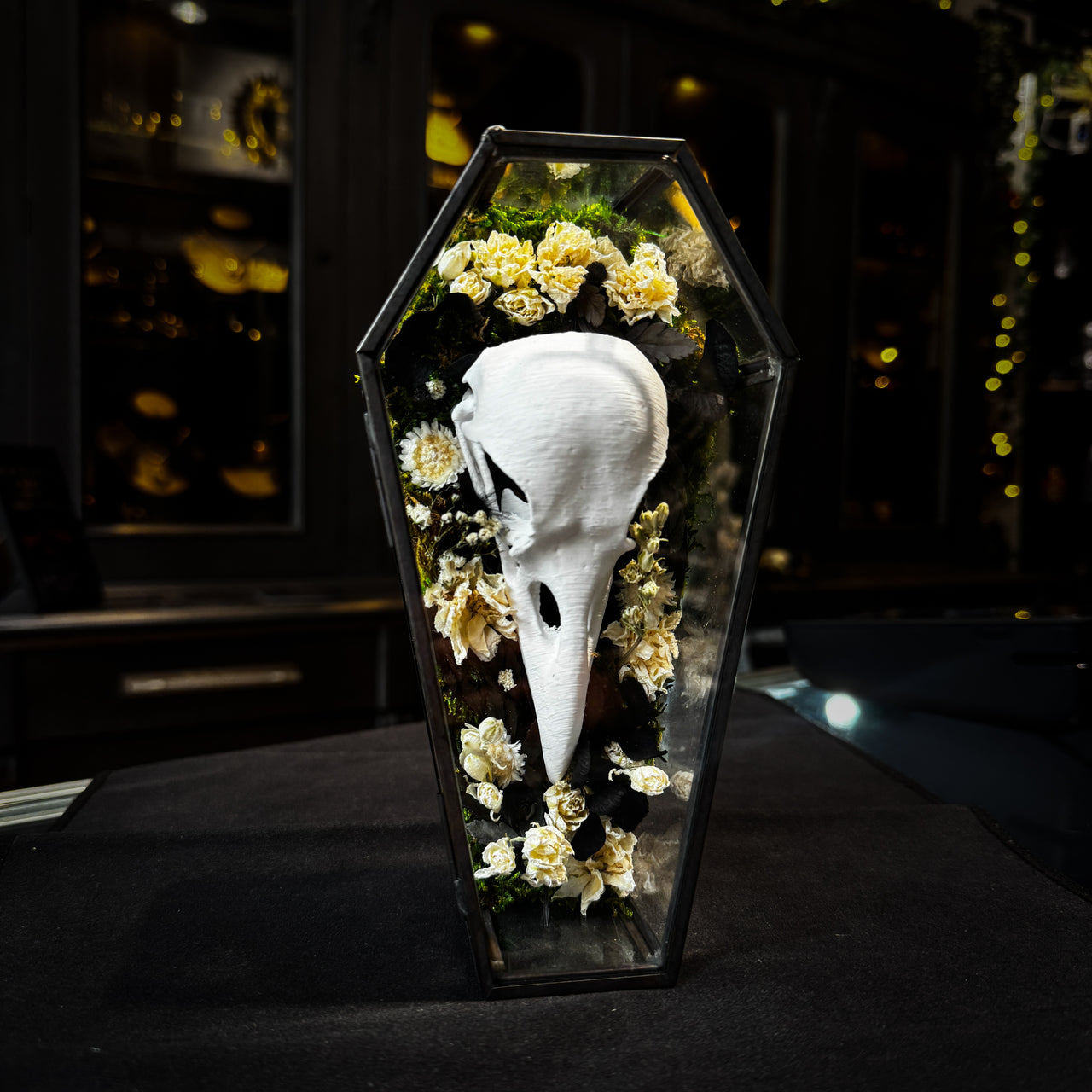 Faux Raven Skull Moss Frame