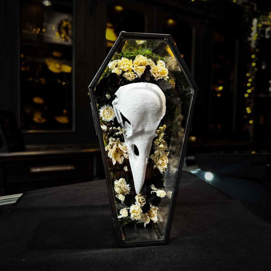 Faux Raven Skull Moss Frame