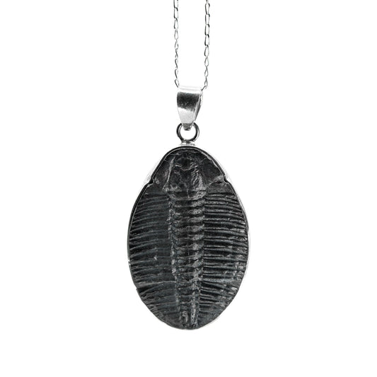 Trilobite Pendant