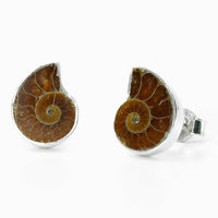Thumbnail for Ammonite Studs