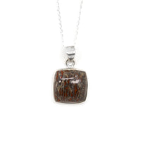 Thumbnail for Dino Bone Pendant