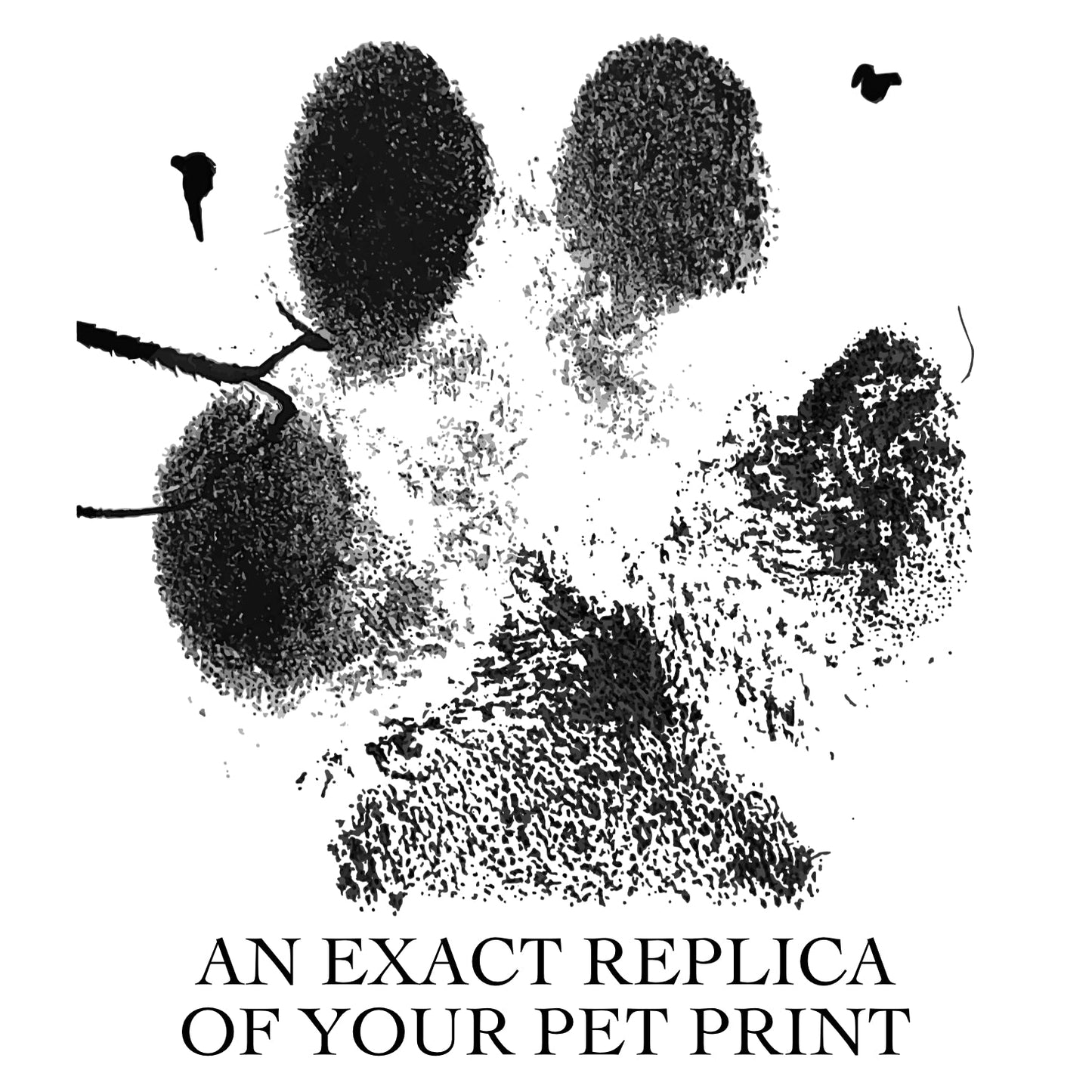 My Pet Print