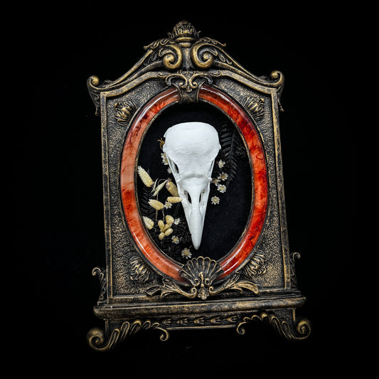 Faux Raven Skull Frame