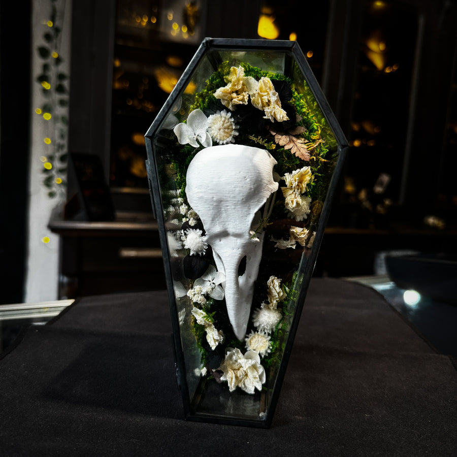 Faux Raven Skull Moss Frame