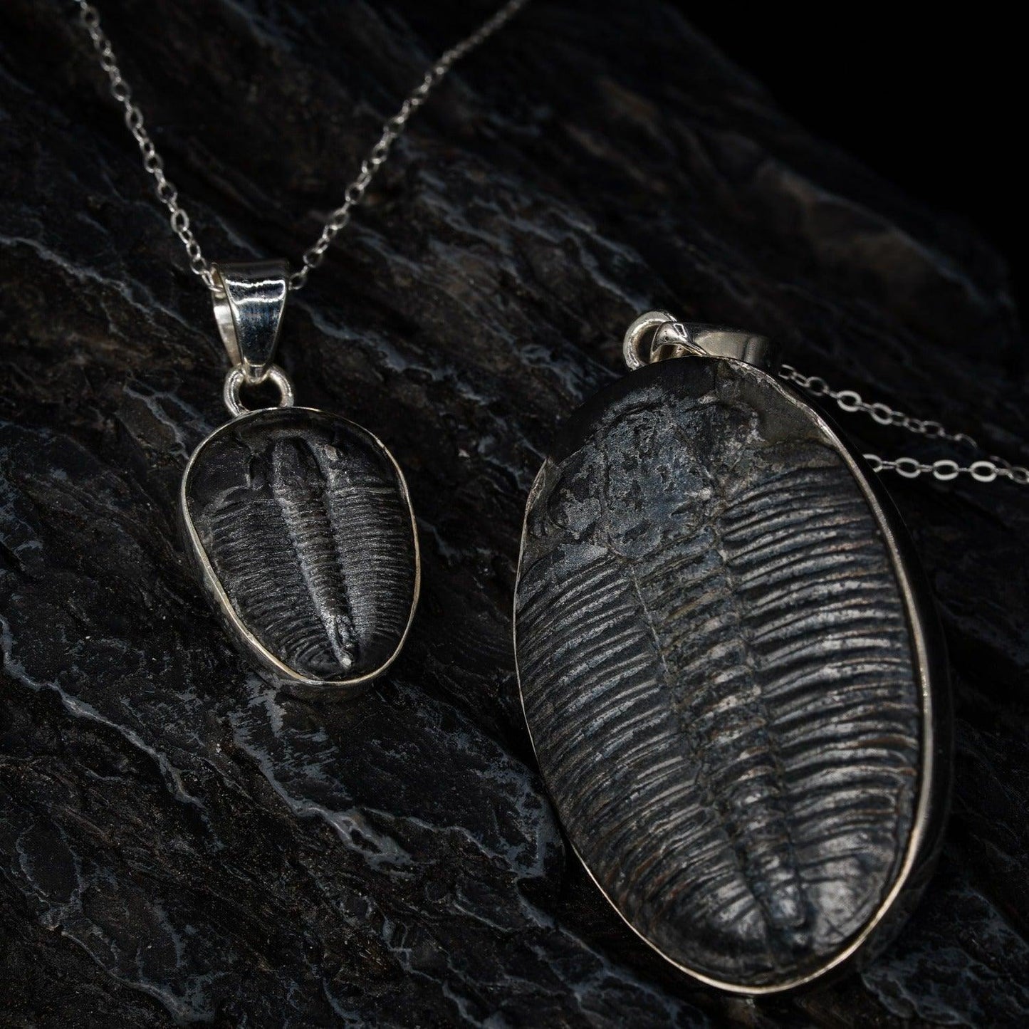 Trilobite Pendant