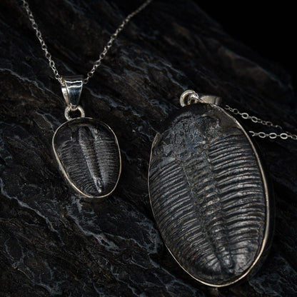 Trilobite Pendant