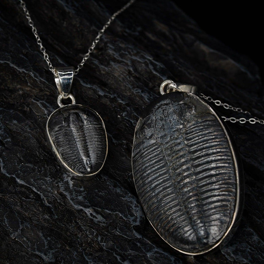 Trilobite Pendant