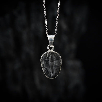 Trilobite Pendant