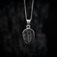 Thumbnail for Trilobite Pendant