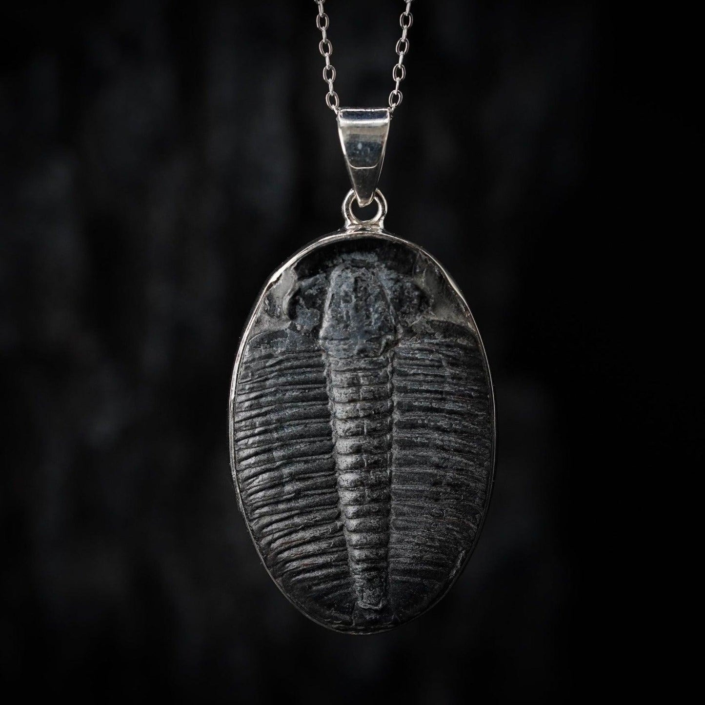 Trilobite Pendant