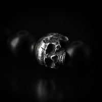 Thumbnail for Skull and Femur