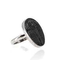 Thumbnail for Trilobite Ring