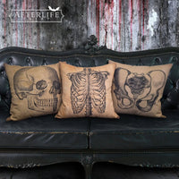 Thumbnail for Anatomy Cushions