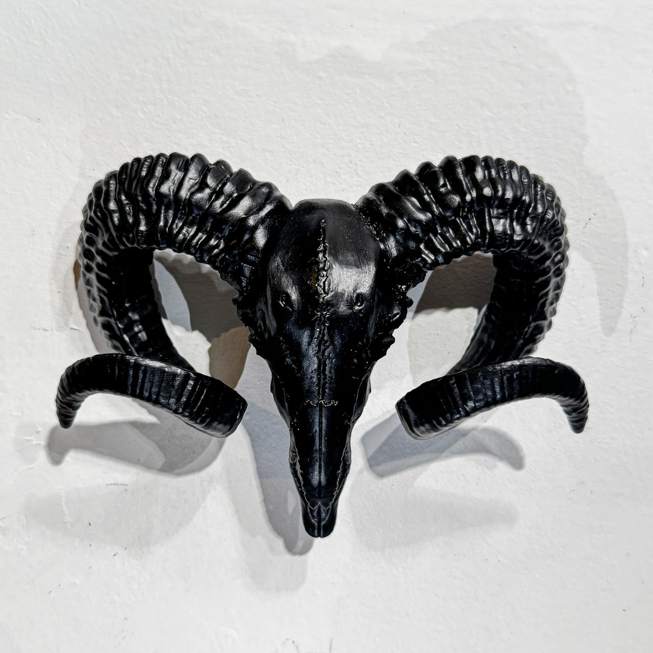 Wall Mounted Ram Skull