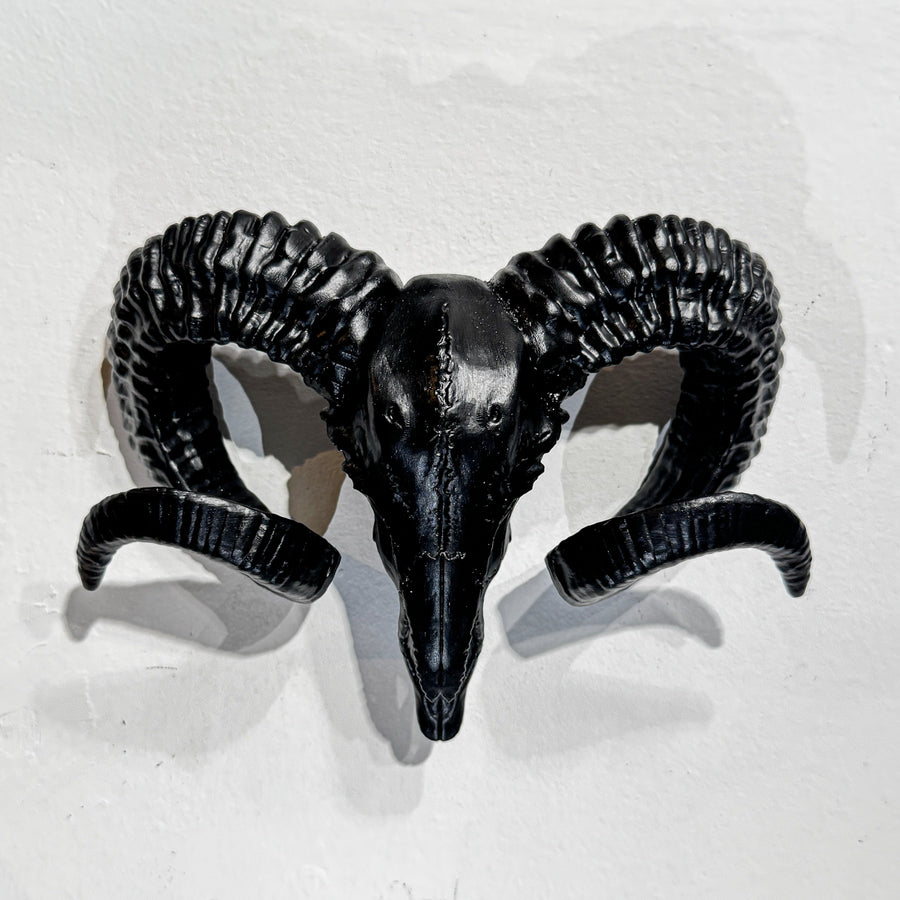 Wall Mounted Ram Skull