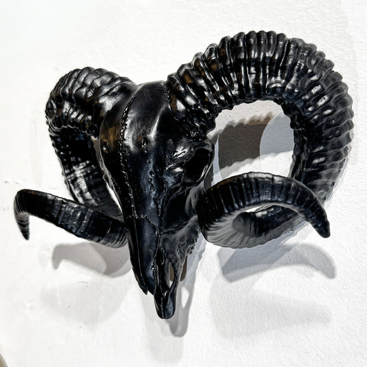 Wall Mounted Ram Skull
