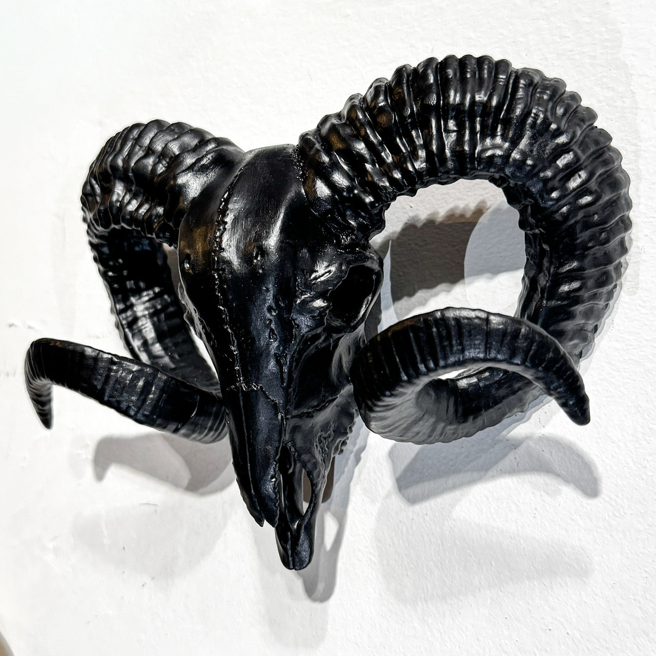 Wall Mounted Ram Skull