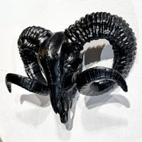 Thumbnail for Wall Mounted Ram Skull