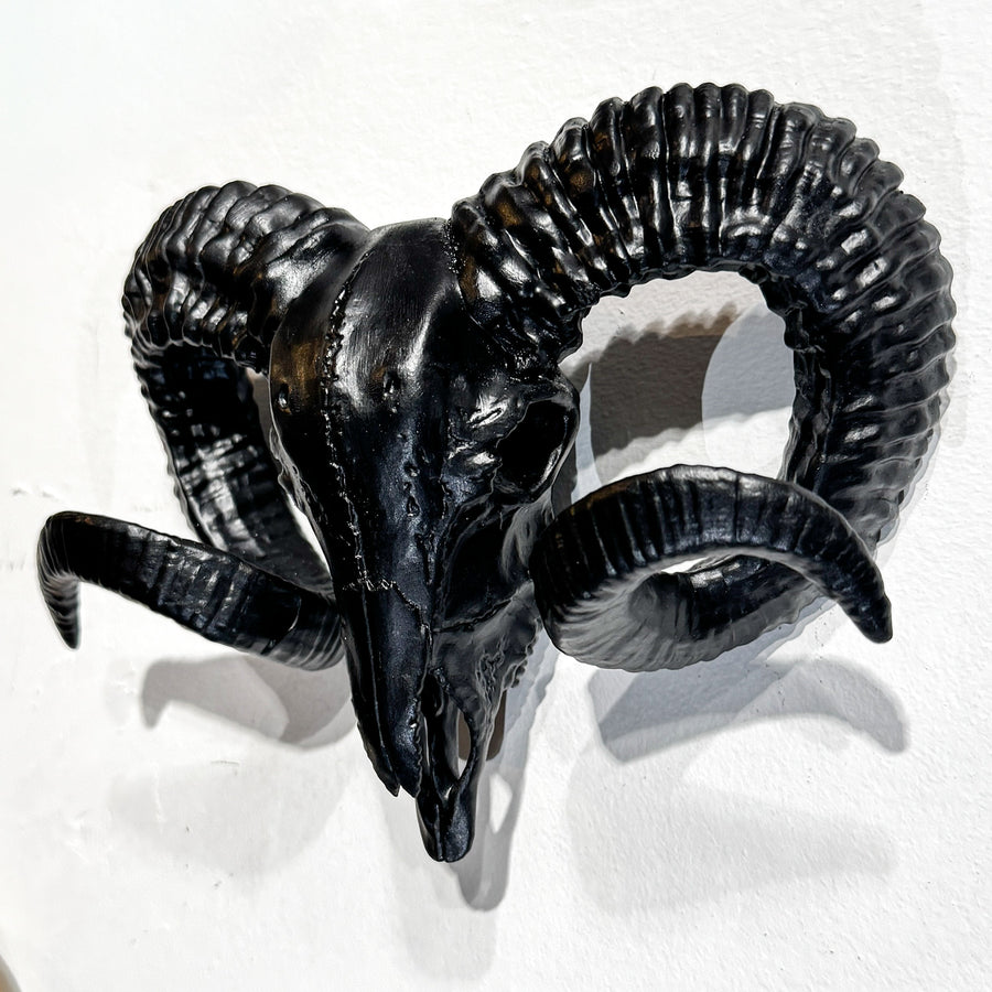 Wall Mounted Ram Skull