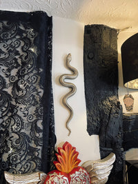 Thumbnail for Snake Wall Art